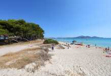 Playa de Muro MAllorca